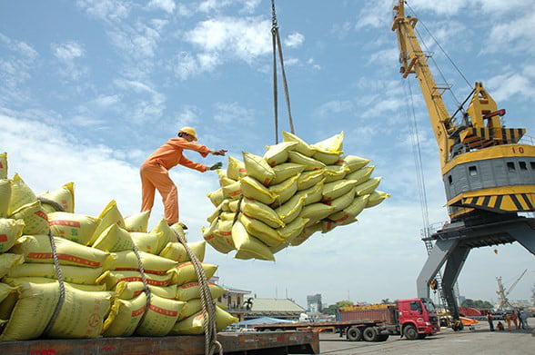 xuất khẩu gạo